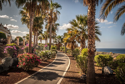 Palm trees by sea against sky