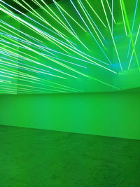 Close-up of green leaf