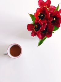 Close-up of red rose on table