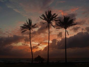 Silhouette palm trees against sky during sunset