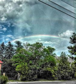 Scenic view of rainbow over trees in forest