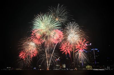 Low angle view of firework display at night