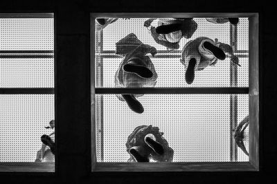 Directly below view of people on glass floor