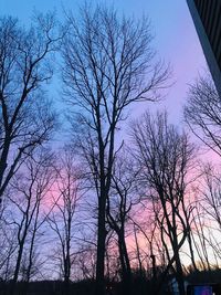 Low angle view of silhouette bare trees against sky
