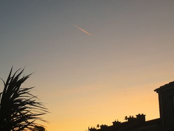 Low angle view of silhouette plants against sky during sunset