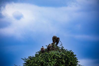 sky
