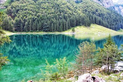 Scenic view of lake