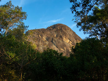 Low angle view of rock formation amidst trees against sky