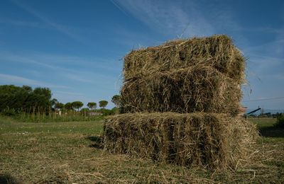 Hay bales on field against sky