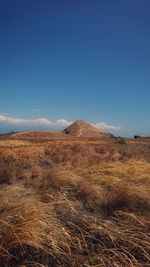 Scenic view of field against clear blue sky