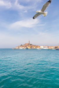 Seagull flying over sea against sky