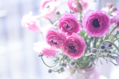 Close-up of pink rose bouquet