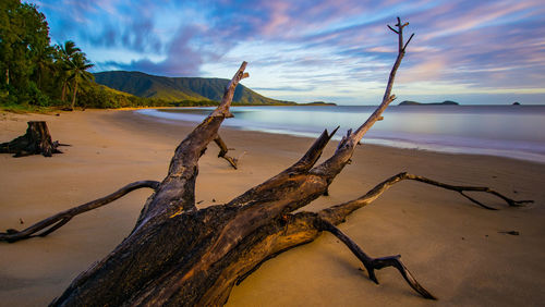 View of driftwood on beach