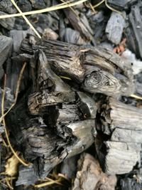 Close-up of wooden logs