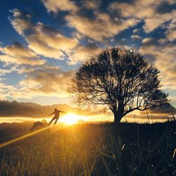 Silhouette man on field against sky during sunset