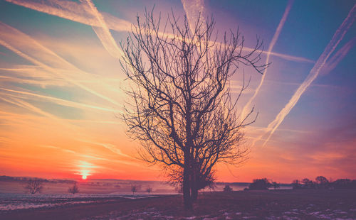 Bare tree on landscape against sunset sky