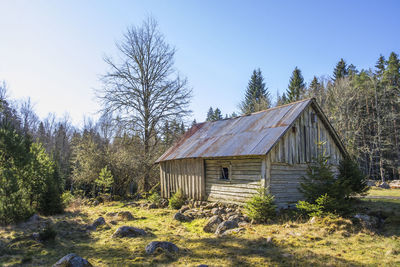Old timber barn in the forest