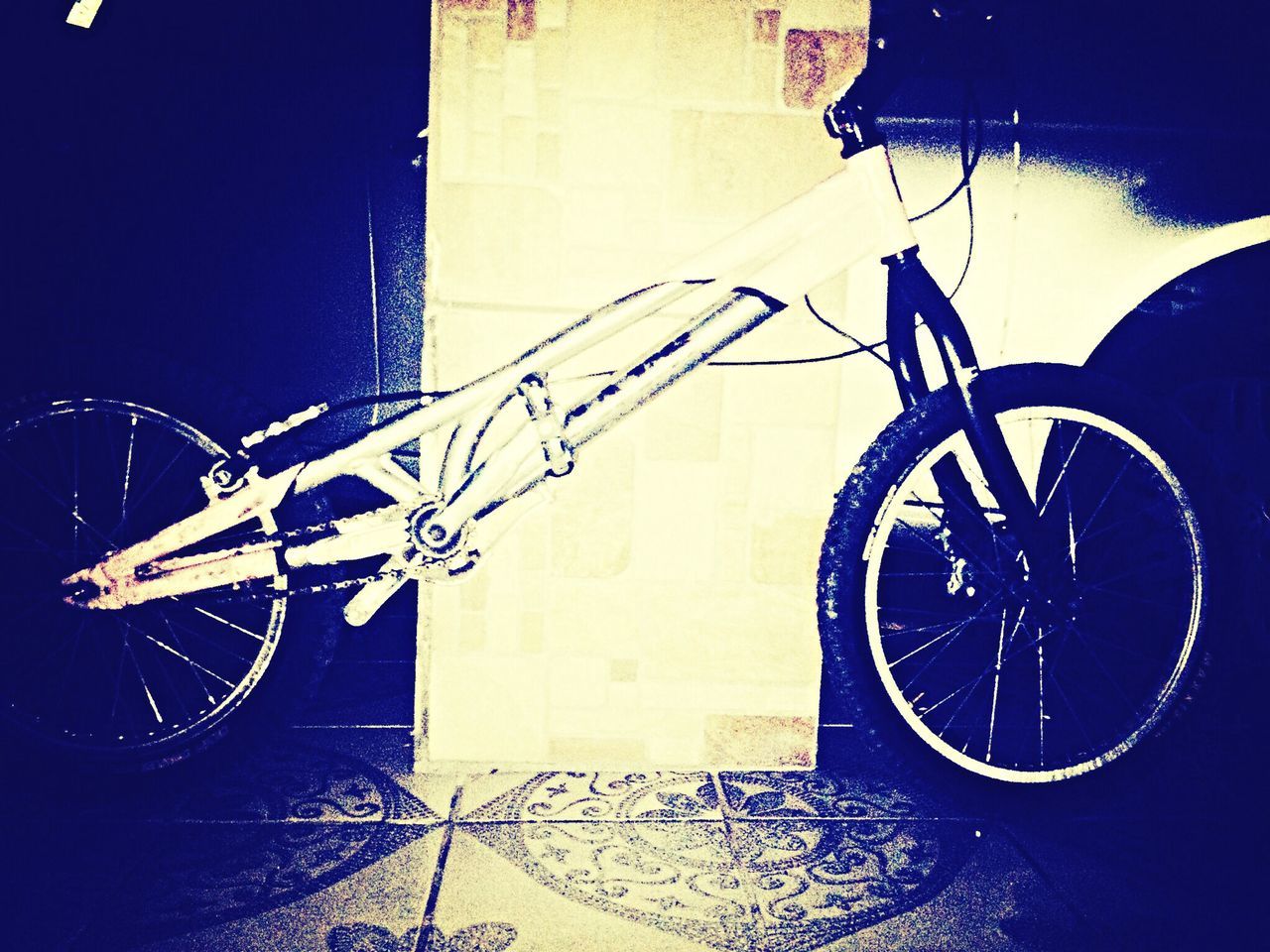 Trial bike