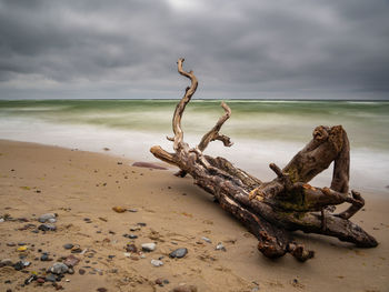 Driftwood on sand at beach against sky