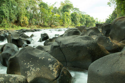 Scenic view of rocks by river against trees