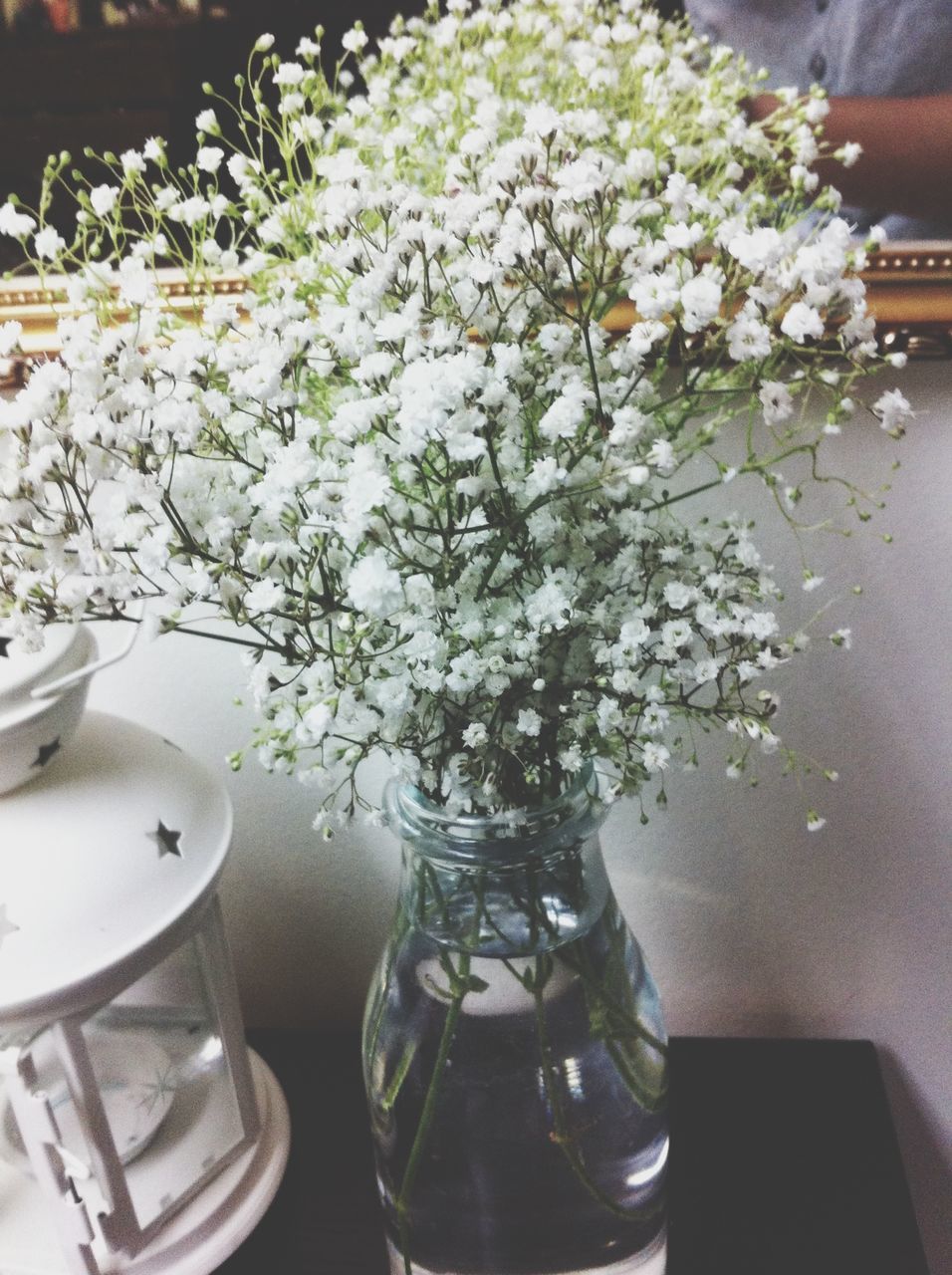 flower, vase, indoors, fragility, freshness, table, glass - material, petal, potted plant, flower arrangement, transparent, decoration, plant, close-up, growth, white color, home interior, bunch of flowers, focus on foreground, flower head