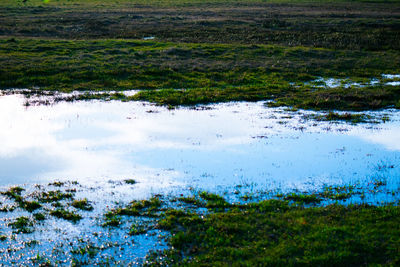 Scenic view of lake