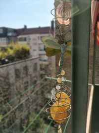 Close-up of yellow wire hanging on metal fence against building