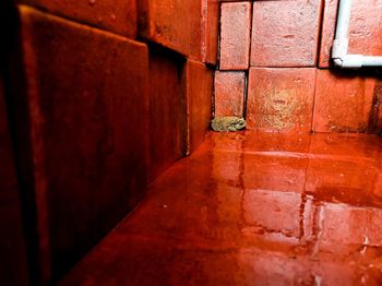 Close-up of red door on brick wall