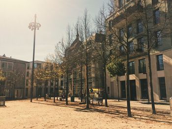 Bare trees in city against sky