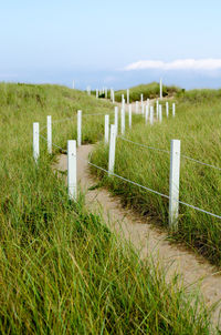 Wooden posts in grass against sky