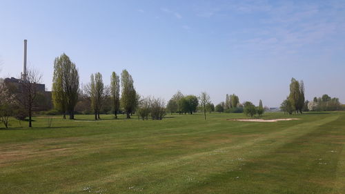 Trees on field against clear sky