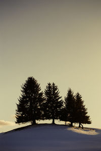 Silhouette trees on snowy field against sky during winter