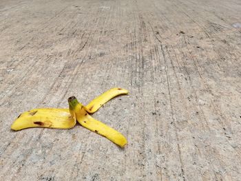 High angle view of yellow fruits on footpath