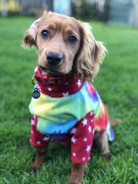 Portrait of dog sticking out tongue on field