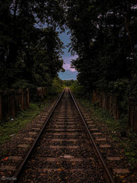 Railroad tracks along trees and plants