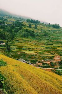 High angle view of agricultural field against sky