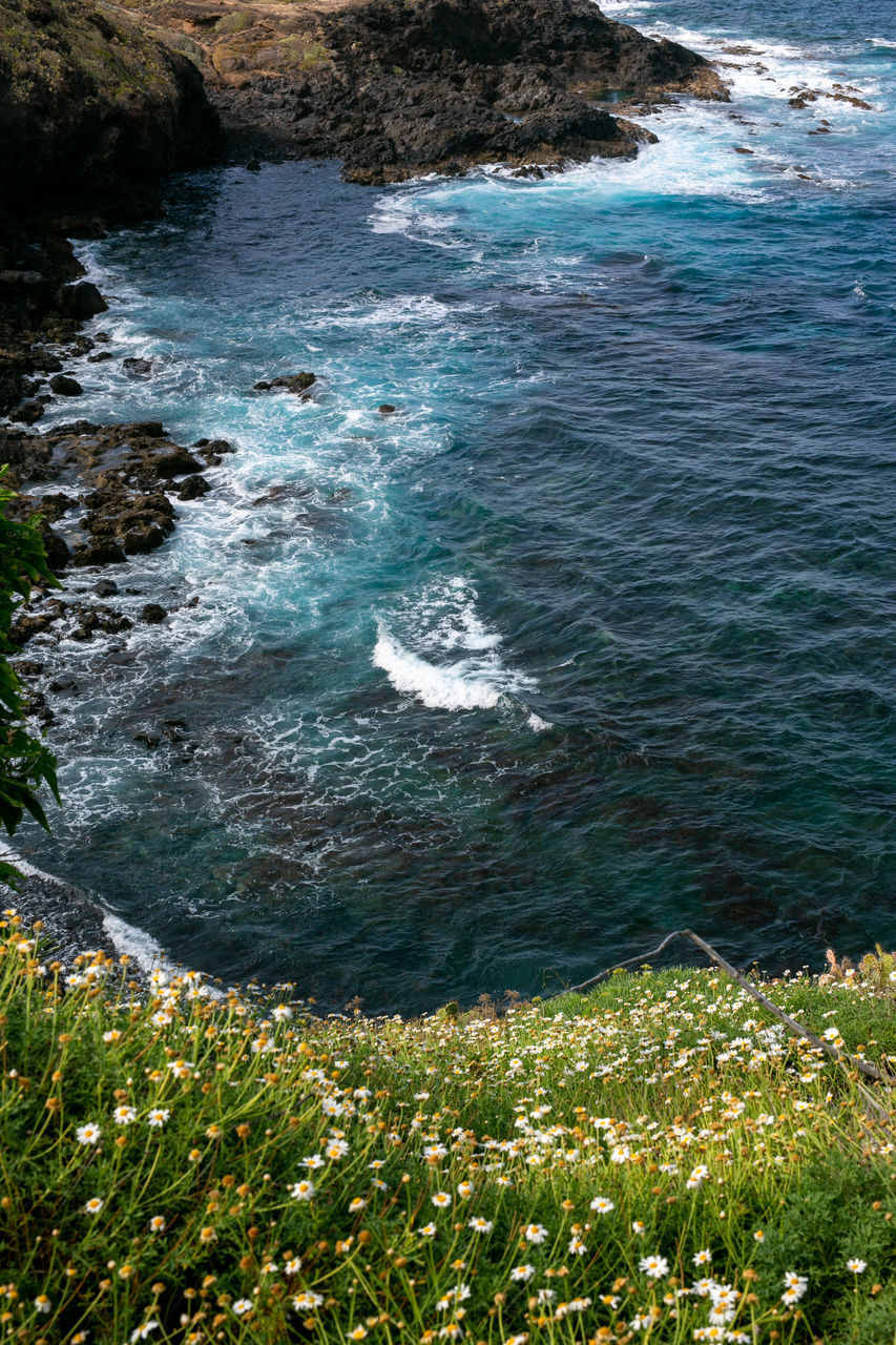 HIGH ANGLE VIEW OF SURF ON BEACH