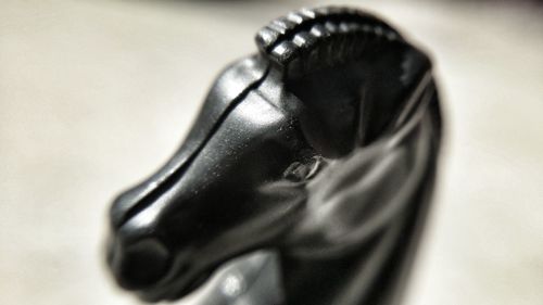 Close-up of object over white background