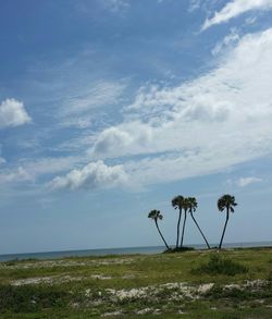 Scenic view of landscape against cloudy sky