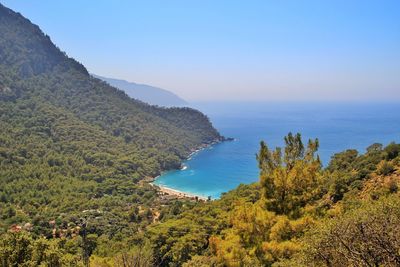 High angle view of sea and trees against sky