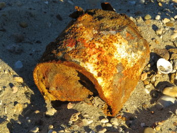 Close-up of rock on sand