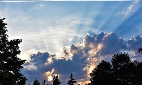 Low angle view of silhouette trees against sky during sunset