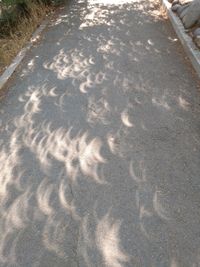 High angle view of shadow on ground