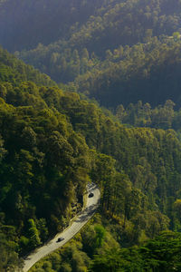 High angle view of road amidst trees in forest