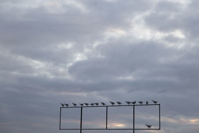 Low angle view of birds perching on metallic structure against sky