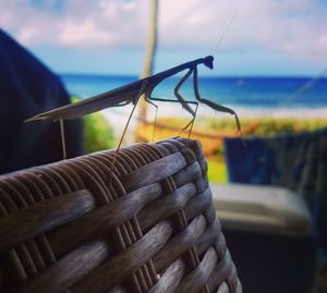 Close-up of wicker basket on beach