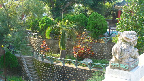Plants growing in garden