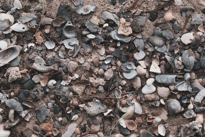 High angle view of pebbles on field