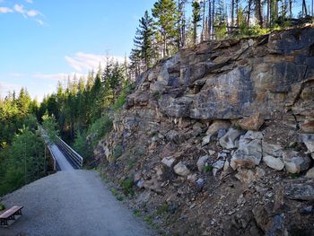 Road amidst trees in forest against sky