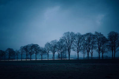 Bare trees on field against sky